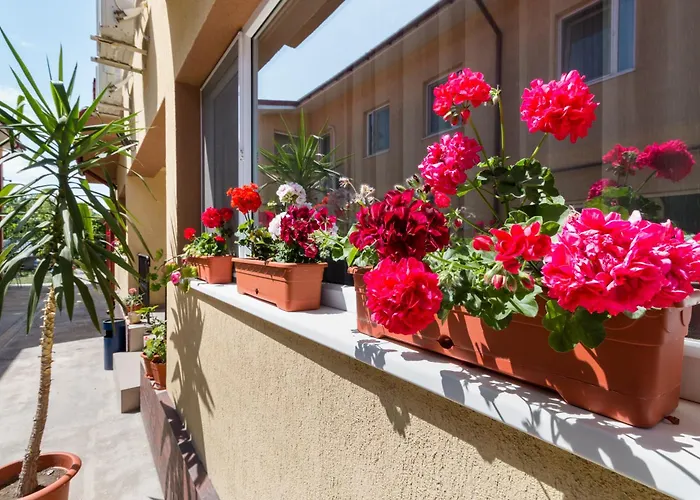 بيت ضيافة Casa Dinii