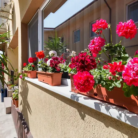 Casa de hóspedes Casa Dinii