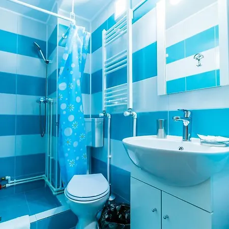 招待所 Casa Dinii 3*