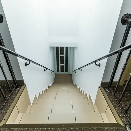 招待所 Casa Dinii 3*