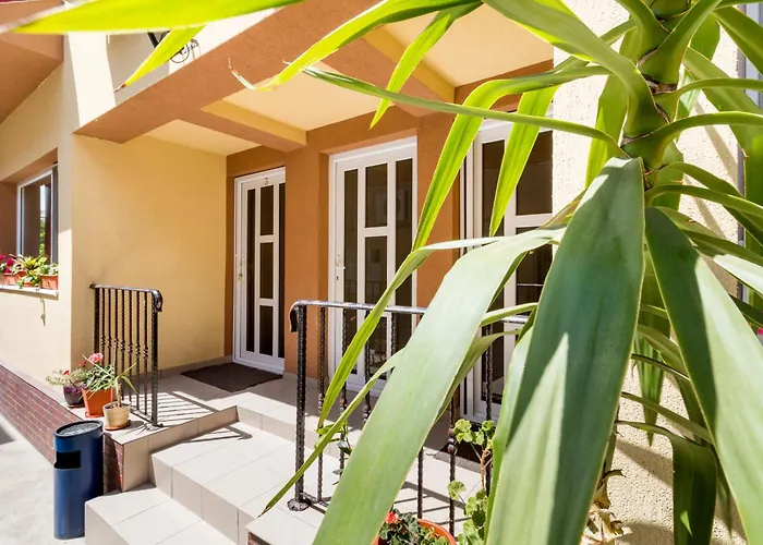 Pensión Casa Dinii 3*