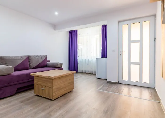 Pensiune Casa Dinii 3*